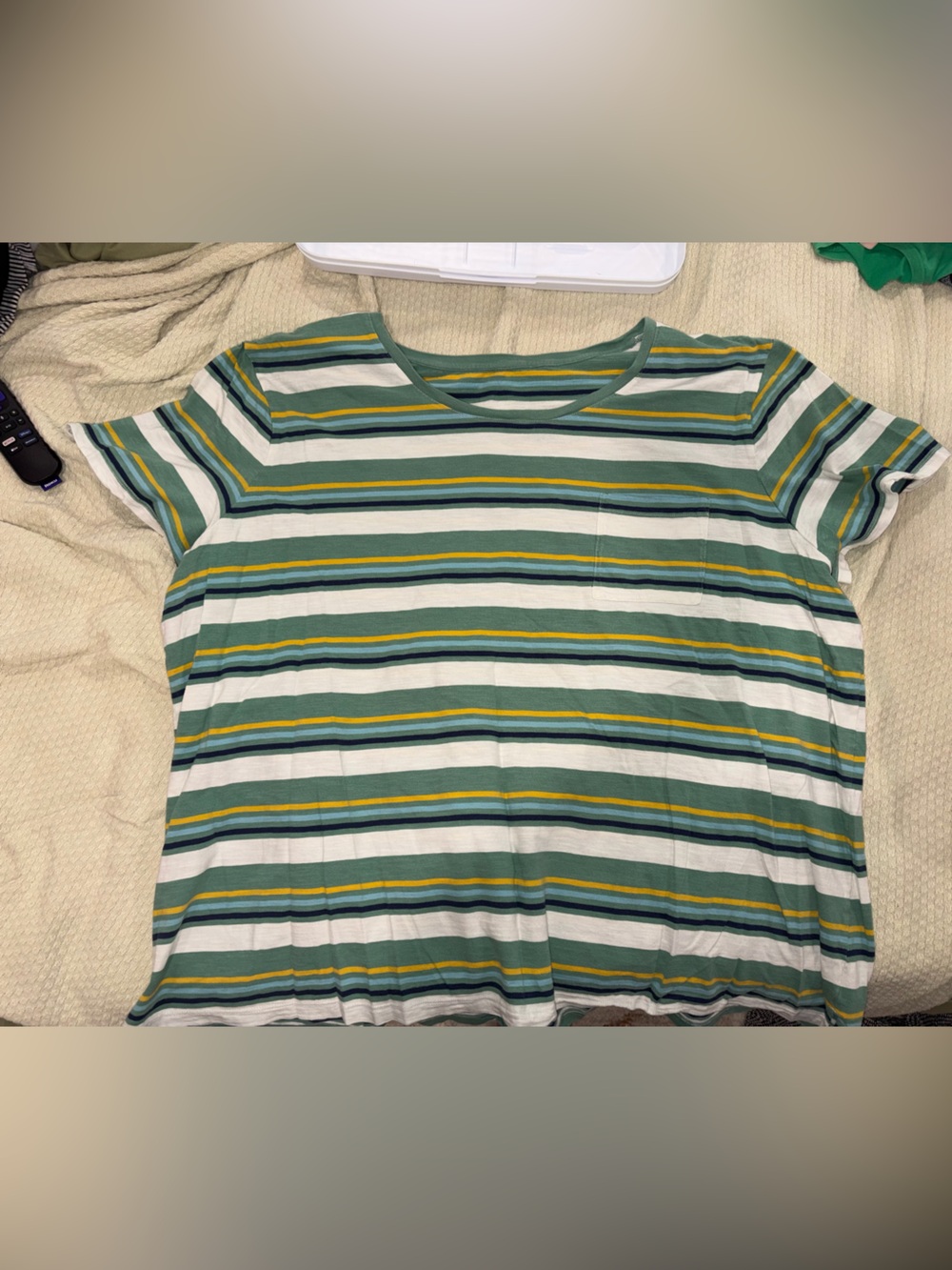 Striped Crewneck Tee in Green and White